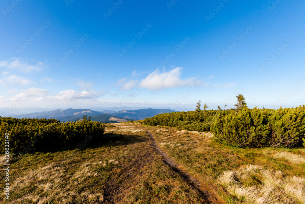 Obraz premium Beautiful autumn Beskidy mountains landscape