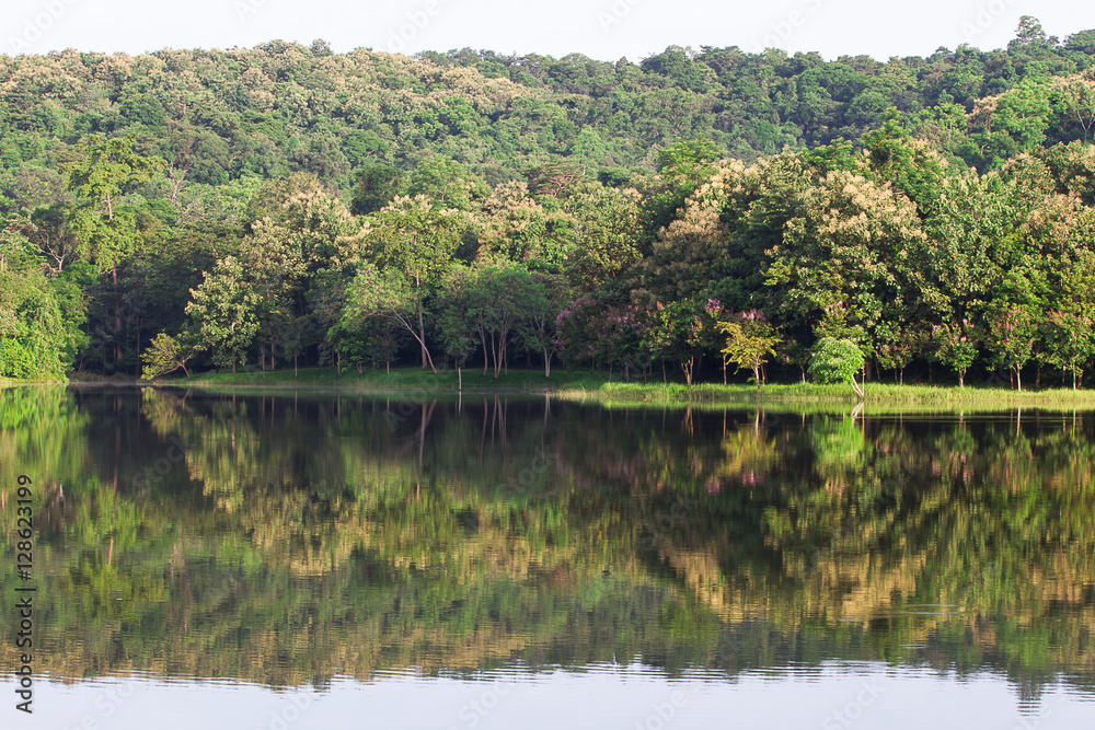 Beautiful reflection of forest over the lake in Thailand Beautiful reflection of forest over the lake in Thailand