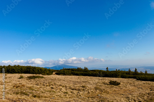 Fototapeta Naklejka Na Ścianę i Meble -  Beautiful autumn Beskidy mountains landscape
