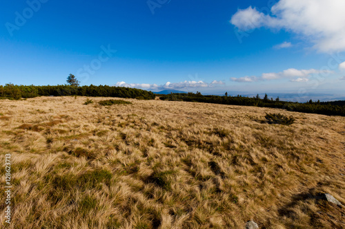Fototapeta Naklejka Na Ścianę i Meble -  Beautiful autumn Beskidy mountains landscape