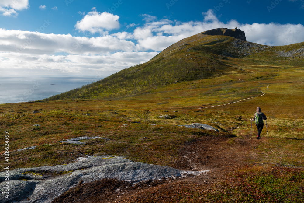 Hiking the Husfjellet on Senja Island, Norway
