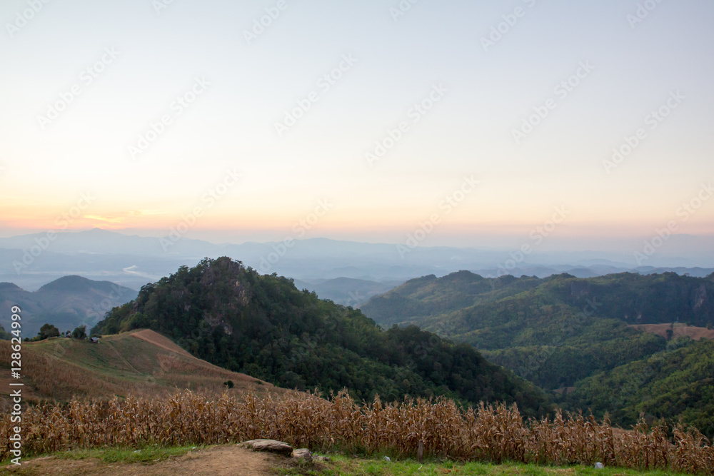 landscape mountain hill when sunset