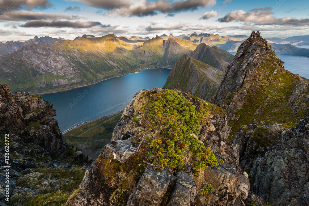 View from Husfjellet Mountain on Senja Island, Norway