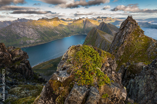 View from Husfjellet Mountain on Senja Island, Norway