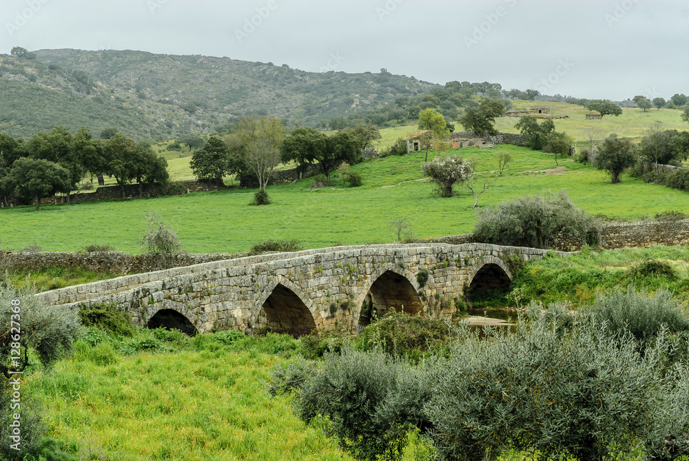 sight of the Roman bridge of the Roman village of Idanha-a-velha in Portugal. 