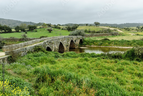 sight of the Roman bridge of the Roman village of Idanha-a-velha in Portugal. 