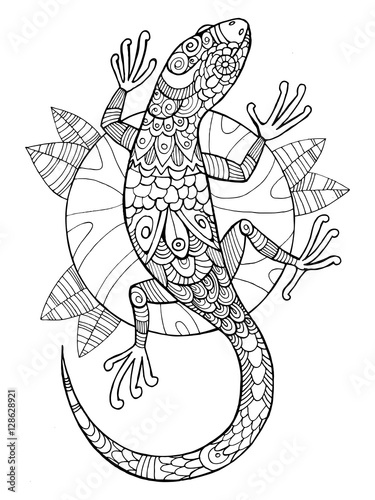 Lizard coloring book for adults vector