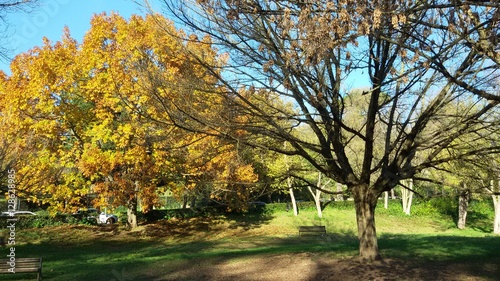 Rome landscape