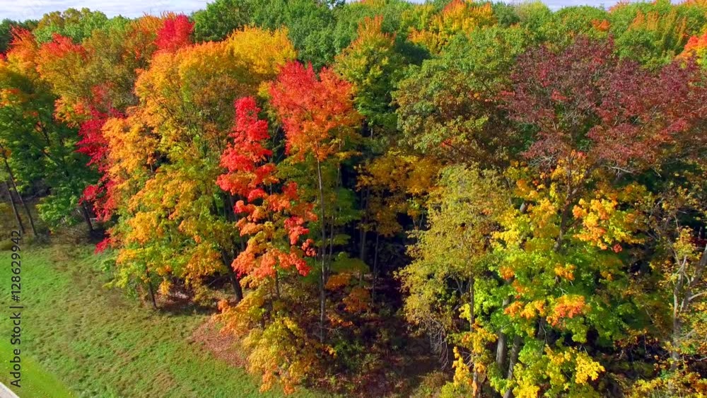 Scenic Rural Drive Amid Trees With Stunning Autumn Colors.
Scenic Rural Drive Amid Trees With Stunning Autumn Colors.