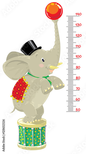 Meter wall or height chart with Funny elephant