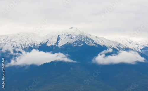snow capped peaks, the forest on a mountain slope