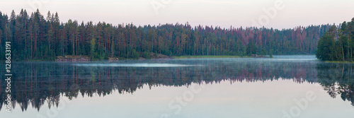Panorama of forest lake