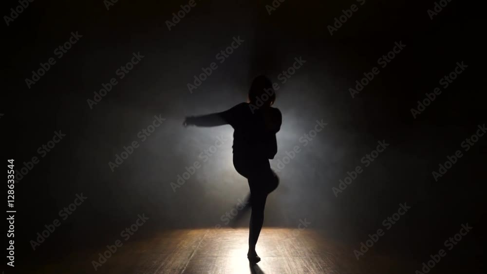 Female Dancer Backlit, in smoke. Female Dancer Backlit, in smoke.