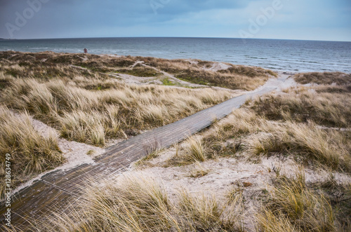 Beach of baltic sea in cold days. Original Wallpaper with soft colors. Coastal scenery with sandy beach  dunes with marram grass and rough sea on winter day.