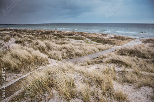 Rough autumn winter baltic beach with sand  path and grass. Photo with gray atmosphere. Empty space