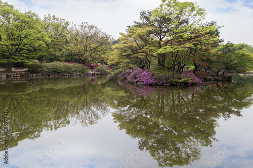 View of the Chundangji pond - the rear garden of Changgyeonggung Palace in Seoul, South Korea. photo