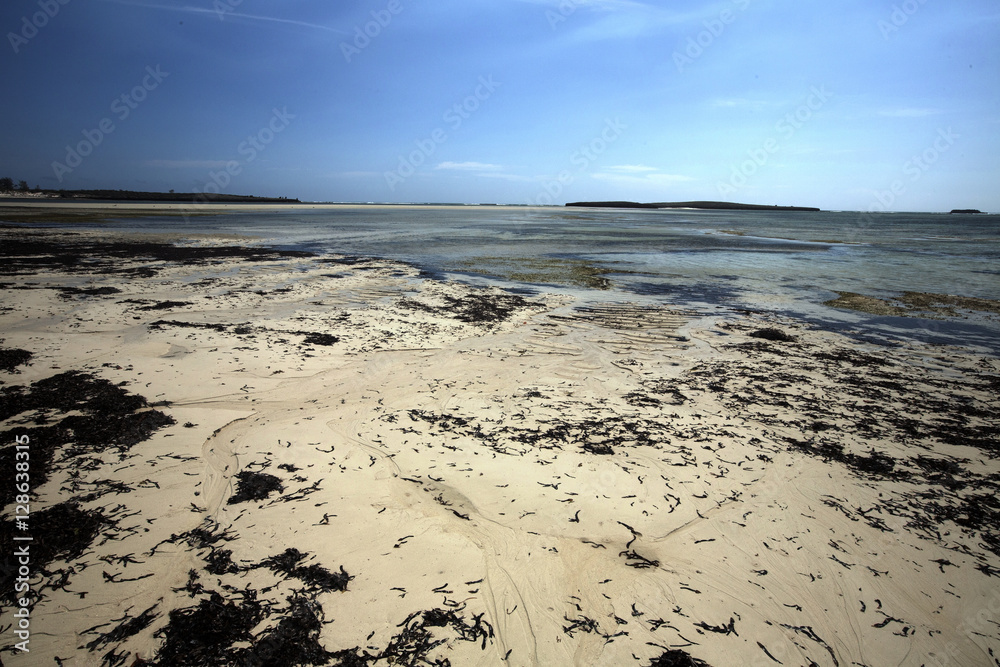 Bay Amoronia orange dry seaweed-covered coast, north of Madagascar