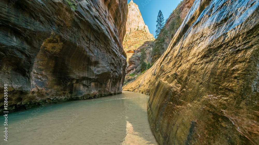 The river runs canyon wall to canyon wall. The light at the end of the narrow. Narrows in Zion National Park, Utah, USA