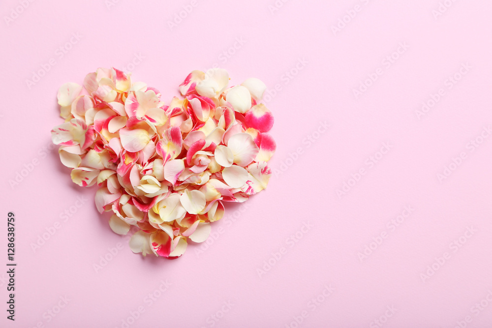 Rose petals on a pink background Rose petals on a pink background