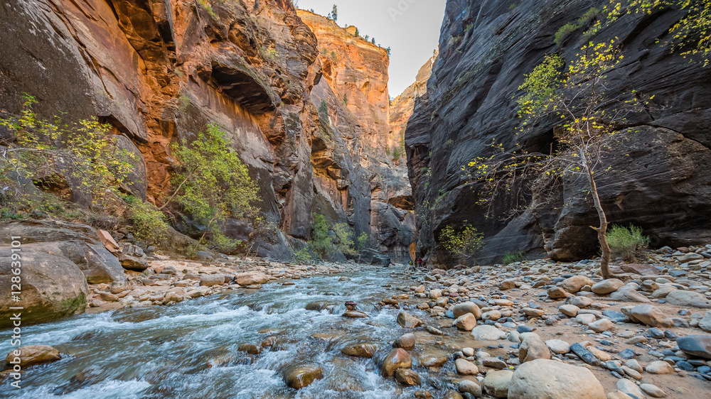 Obraz premium Tunnel is one of the most popular areas. Virgin River in The Narrows in Zion National Park, Utah, USA