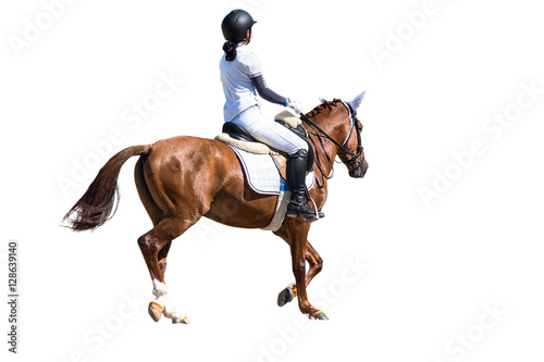 Woman Riding a Horse. Isolated. Equestrian Sport. © ic36006