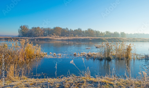 Shore of a frozen lake in sunlight in autumn