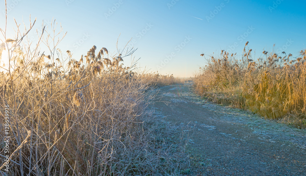 Path through a frozen field at sunrise in autumn Path through a frozen field at sunrise in autumn