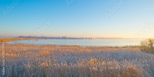 Shore of a frozen lake in sunlight in autumn