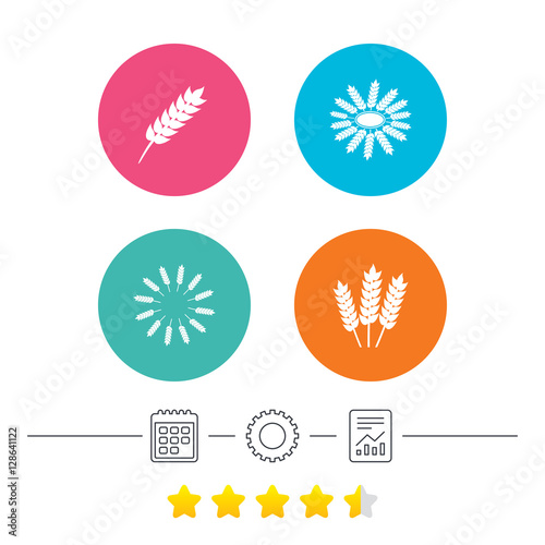 Agricultural icons. Gluten free or No gluten signs. Wreath of Wheat corn symbol. Calendar, cogwheel and report linear icons. Star vote ranking. Vector