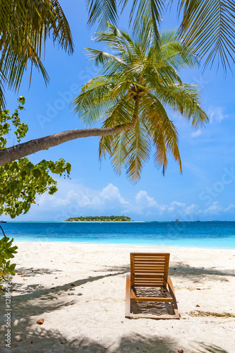 Sun chair under palm tree on tropical beach