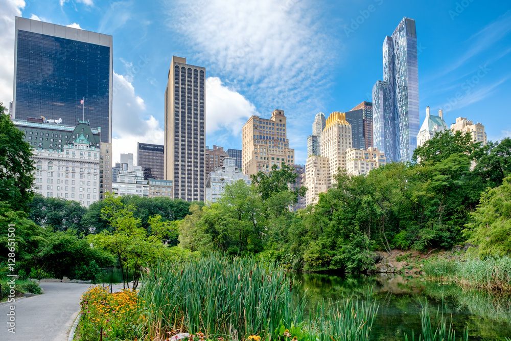 Fototapeta premium Central Park with a view of the midtown Manhattan skyline in New York City