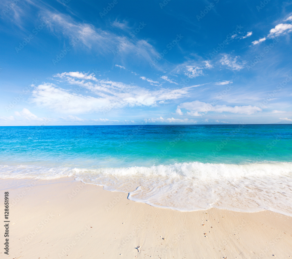 Fototapeta premium beach and tropical sea