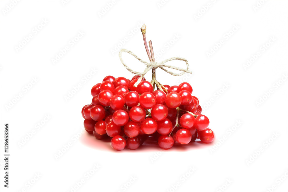 autumn bouquet of red viburnum