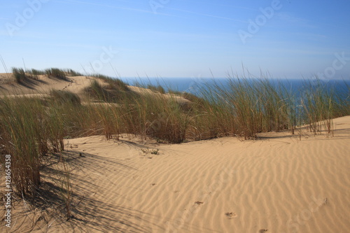 Fototapeta Naklejka Na Ścianę i Meble -  Paradise beach with vegetation