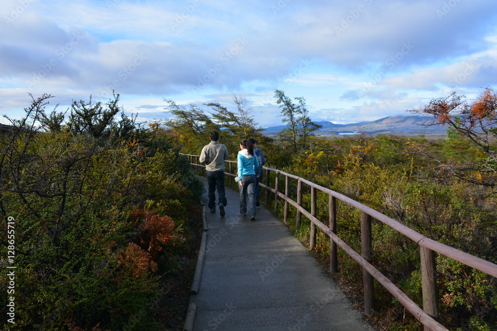 landscape of volcano and forest in Patagonia Chile