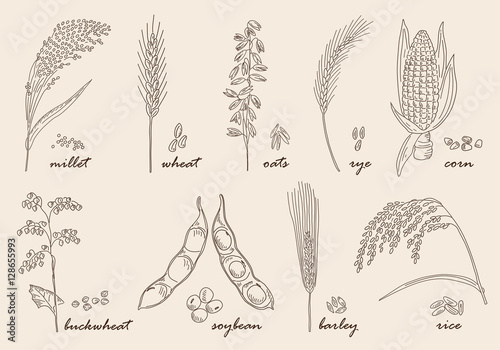Hand drawn cereals