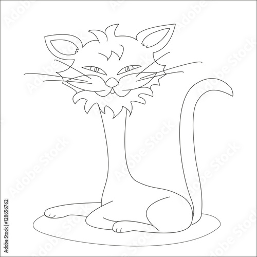 cat