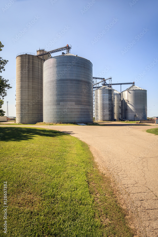 Fototapeta premium Huge, silver, shining agricultural silos.