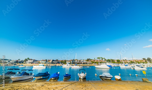 Boats by the shore in Balboa island © Gabriele Maltinti