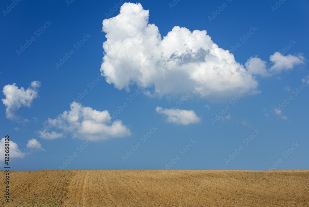 white clouds floated in blue sky above the brown field