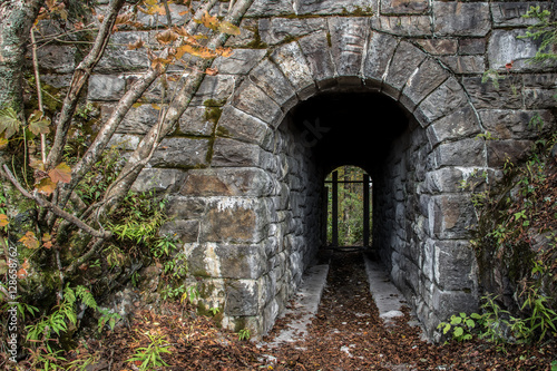 Hiker's tunnel on the Appalachian Trail. 