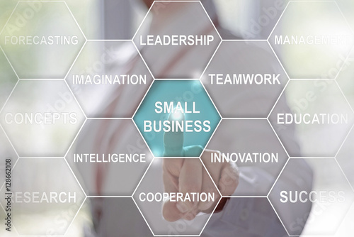 Business, technology and internet concept - businesswoman presses small business button on virtual screens. Business concept presented by a consultant in management on webinar screen. Startup, hexagon