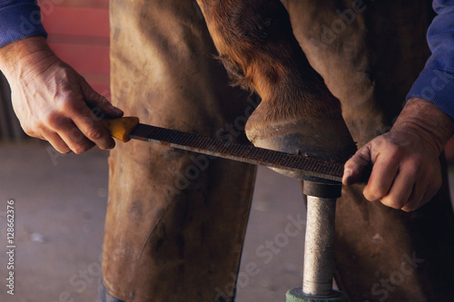 Fototapeta Naklejka Na Ścianę i Meble -  Farrier at Work