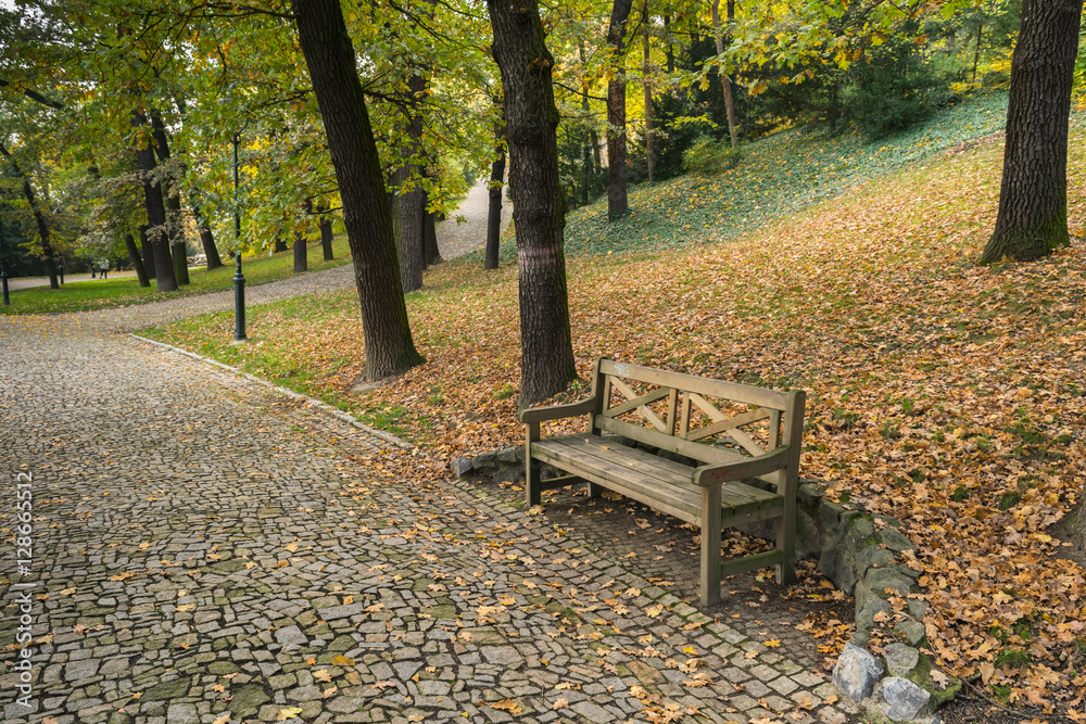 Autumn walks on a clouded day, Petrin and Kinsky parks, Prague, Czech Republic, Central Europe