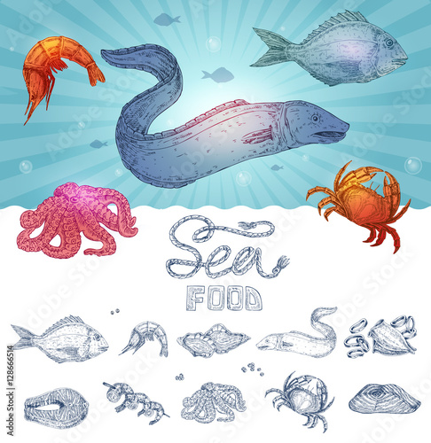 Seafood Hand Drawn Concept