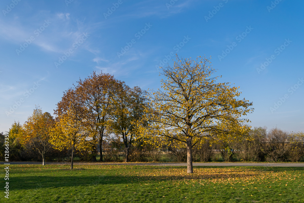 Fototapeta premium Autumn walks in Letna Park, Prague, Czech Republic, Europe