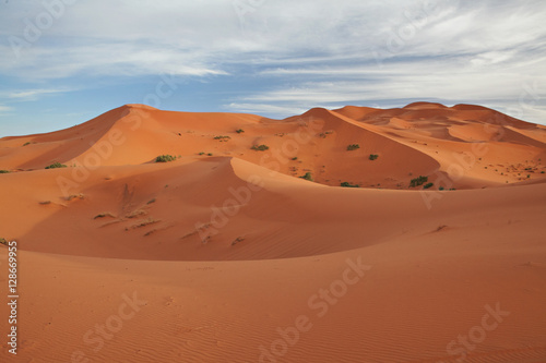 Moroccan desert landscape with blue sky. © irmoske