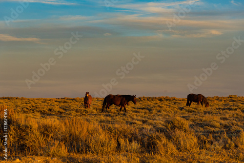 Wild Horse Scenic Loop near Rock Springs, Wyoming 