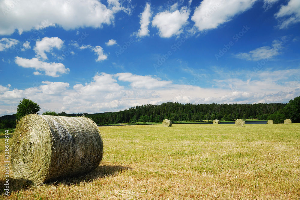 Gathered field with straw bales