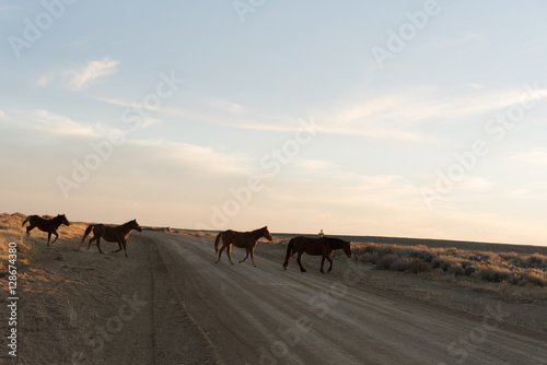 Wild Horse Scenic Loop near Rock Springs  Wyoming 